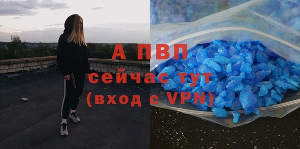 apvp Верея