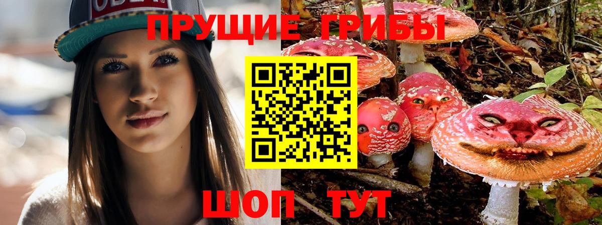 Ялта  Галлюциногенные грибы GOLDEN TEACHER  Вход с VPN  Галлюциногенные грибы прущие грибы 